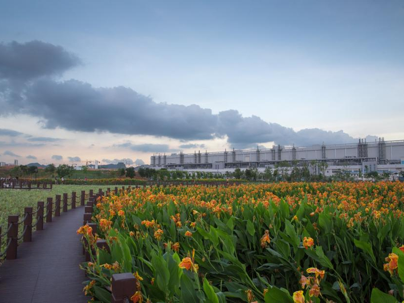 TCL 華星打造人工濕地公園